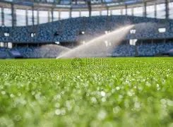 朱亚文与,后刘浩存戏,外亲密互动,宝盈,宝盈下载,宝盈真人,宝盈官方,宝盈在线,宝盈登录,宝盈链接