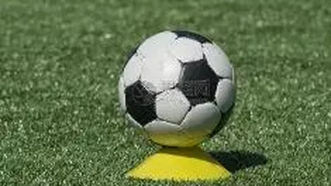 Bbin宝盈 产品 114202 8uo