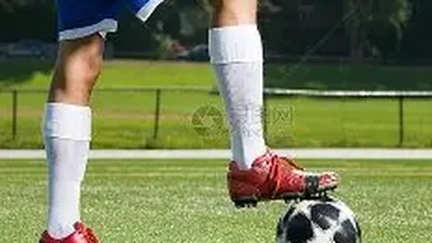 新西兰将成为女篮东京奥运预选赛举办地